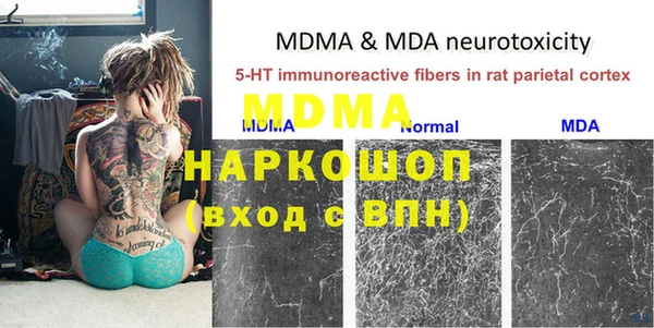 бошки Дмитров