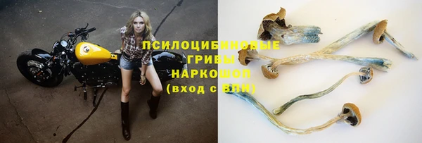экстази Дмитриев