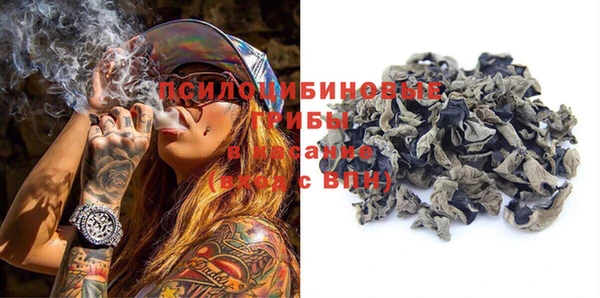бошки Дмитров