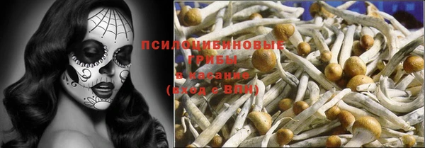 бошки Дмитров